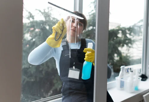 Nettoyage de vitres intérieures et extérieures à Beaumont-le-Roger